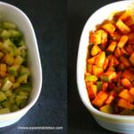 instantmangopickle4