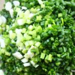springonioncurry1
