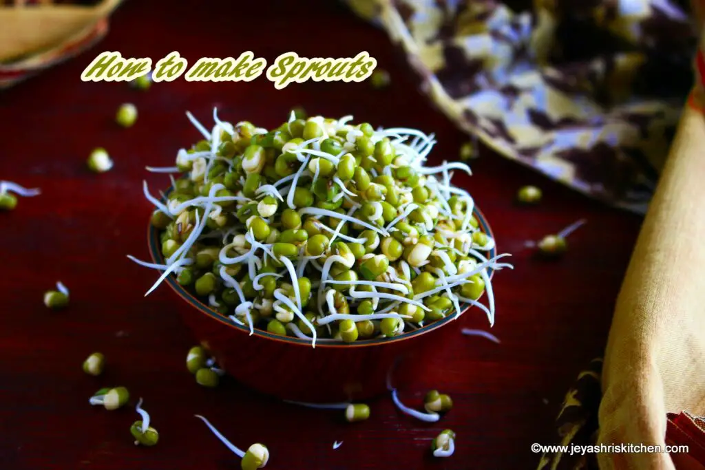 how to make sprouts