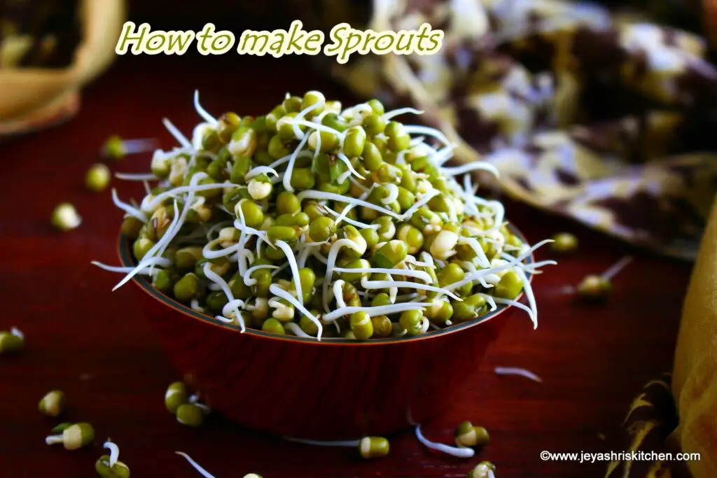 How to make sprouts