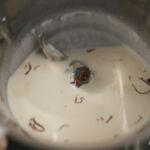 Nutella cold coffee