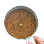 kollu podi recipe