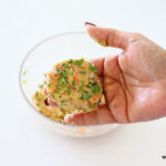 oats moong dal tikki
