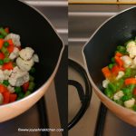 vegmakhani2