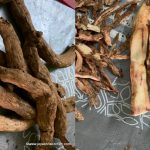 magalikizhangu1
