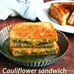 Gobi sandwich