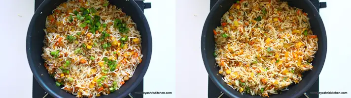 vegan egg fried rice