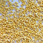 Fried-chana-dal-2