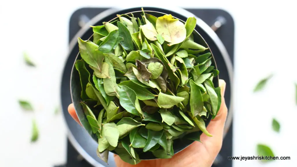 curry leaves