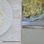 dahi ke kebab 4