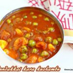 Turkey berry kara kuzhambu