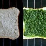bread pizza 1