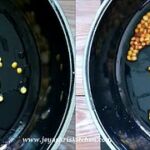 vegetable chutney 1