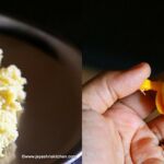shahi modak 3