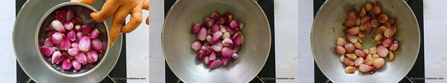 mint onion chutney 2