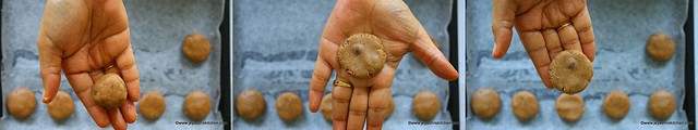 jowar cookies 3