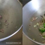 schezwan paratha 1