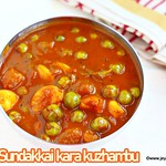 Sundakkai Kara kuzhambu