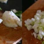 Ash gourd raita 1