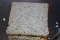 Vegetable sandwich