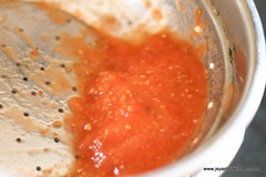 tomato-puree-filter