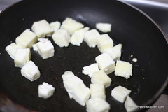 paneer