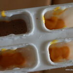 mango-choco-pops