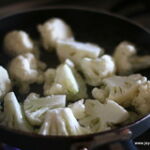 blanch-gobi