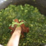 keerai-cooking