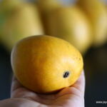 alphonso mango