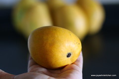 alphonso mango