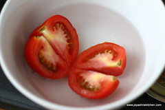 Tomato