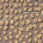 vadam-drying