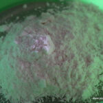 Rice -flour