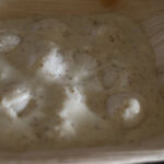 Idli – yogurt