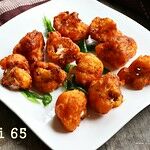 GOBI 65