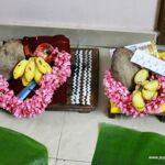 pudavai-ilai