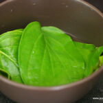 betel-leaves