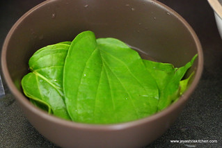 betel-leaves
