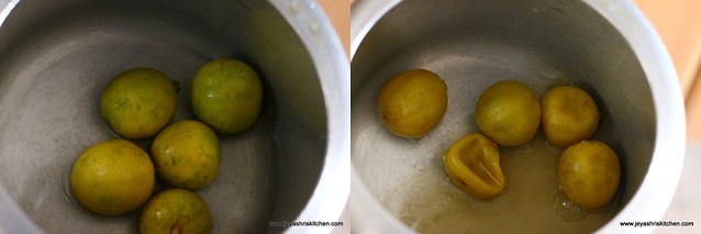 instant-lemon-pickle