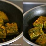 kothimber vadi 9