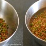dal moth mixture
