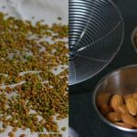 dal moth mixture 3