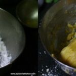 dal moth mixture 4
