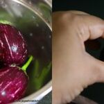 stuffed brinjal 3