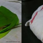 dosai 8