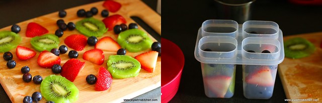 fruit popsicle 1