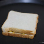 sandwich 8