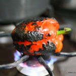capsicum step 1