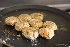 Oats tikki